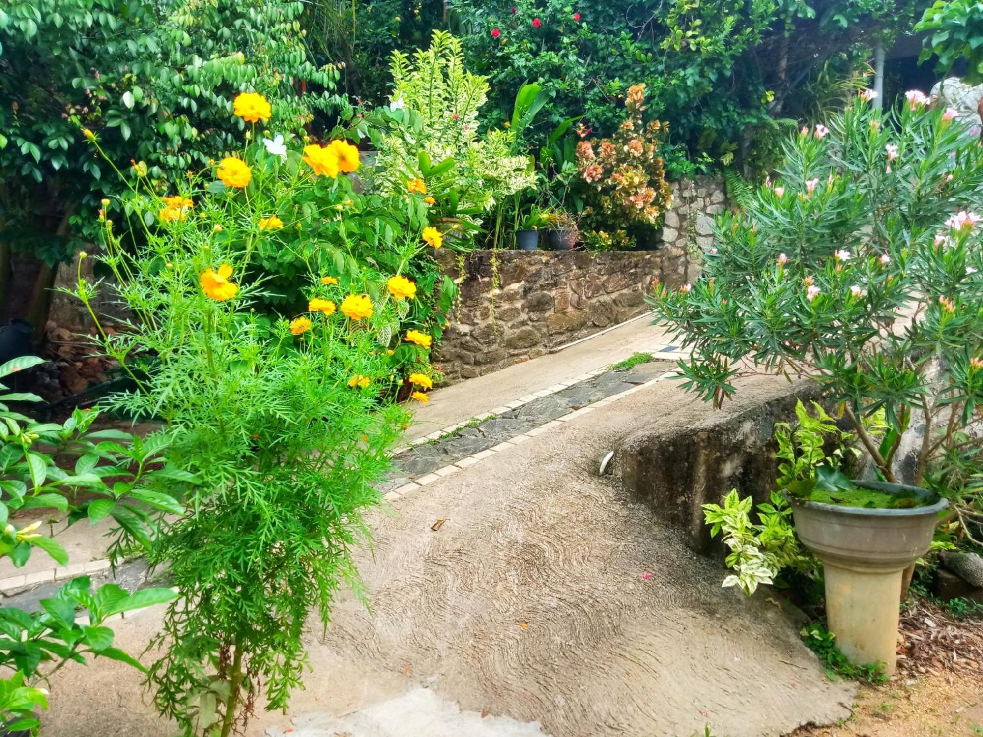 Opara Palace Homestay Weligama